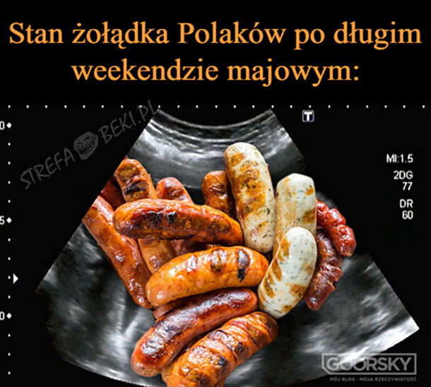 Mój żołądek po majówce