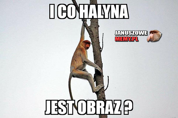 Jest obraz?