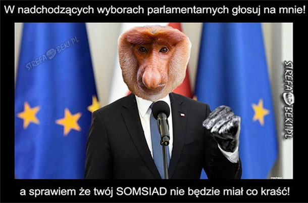 W nadchodzących wyborach...