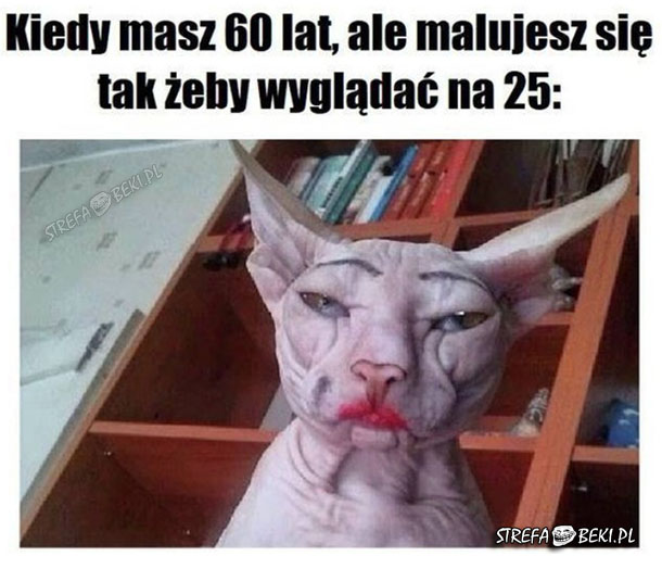 Tak to wygląda