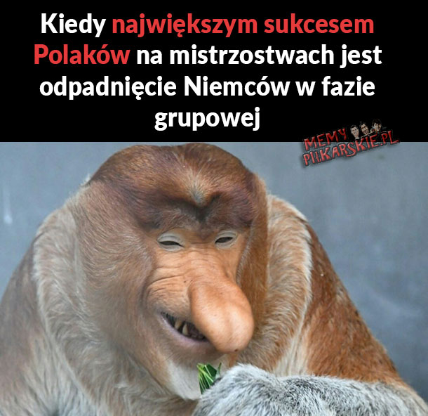 Największy sukces Polaków 