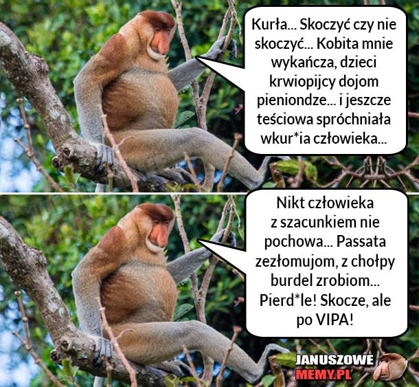 Skoczyć czy nie? :D