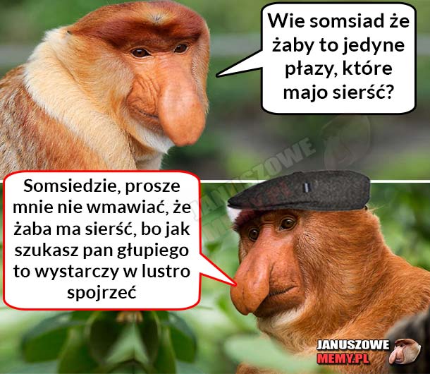 Janusz nie jest taki głupi :D