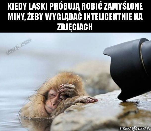 Laski takie są 