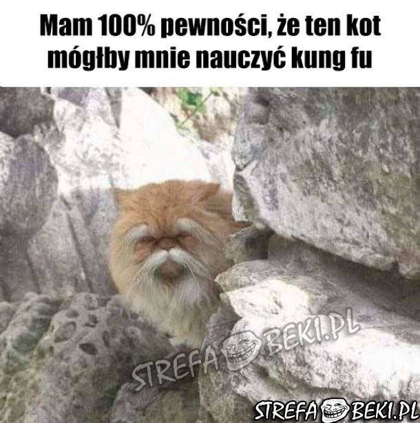 Mistrz kung fu