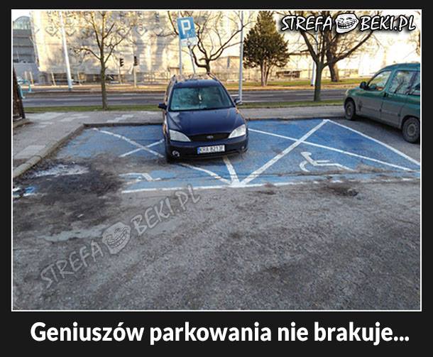 Geniusz parkowania