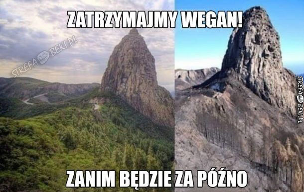 Zatrzymajmy wegan