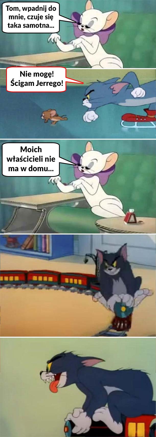 Nie ma właścicieli 