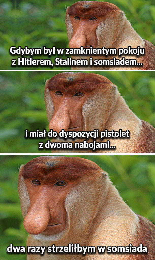 Nawet by się nie zastanawiał :D