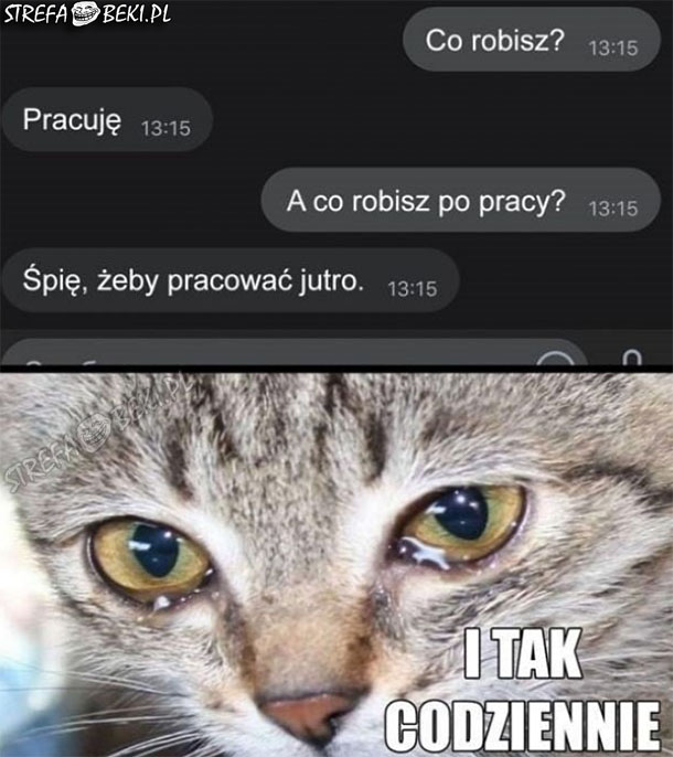 I tak codziennie