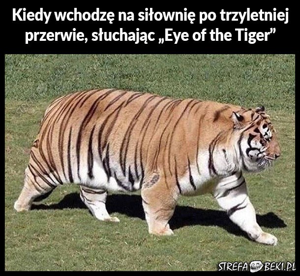 Ja na siłowni