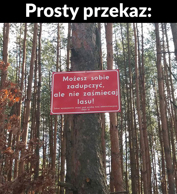 Przekaz 