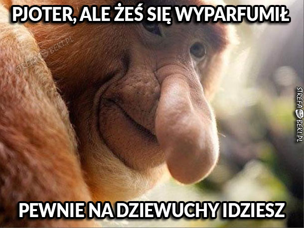 Pjoter idzie na dziewuchy