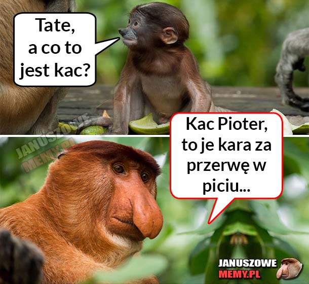 Co to jest kac? :D