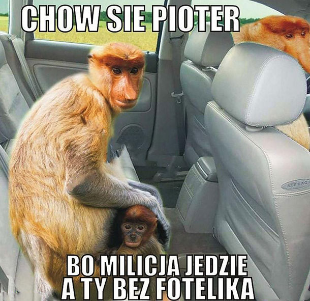 Chowej się Pioter :D