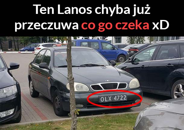 Już wie co go czeka :D