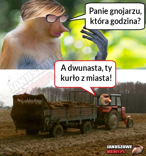 Janusz zgasił damę :D