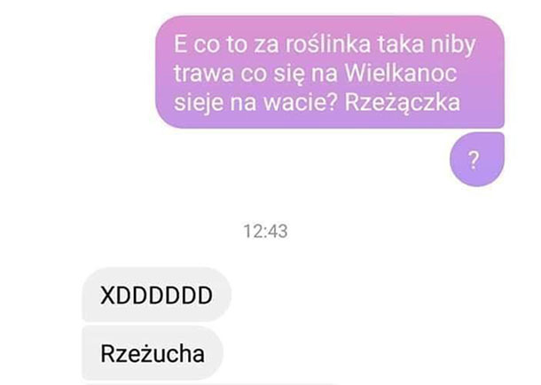 Roślinka :D