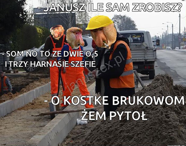 Tyle Janusz zrobi 