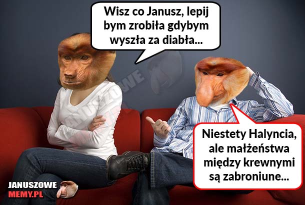 Janusz gasi Halynkę
