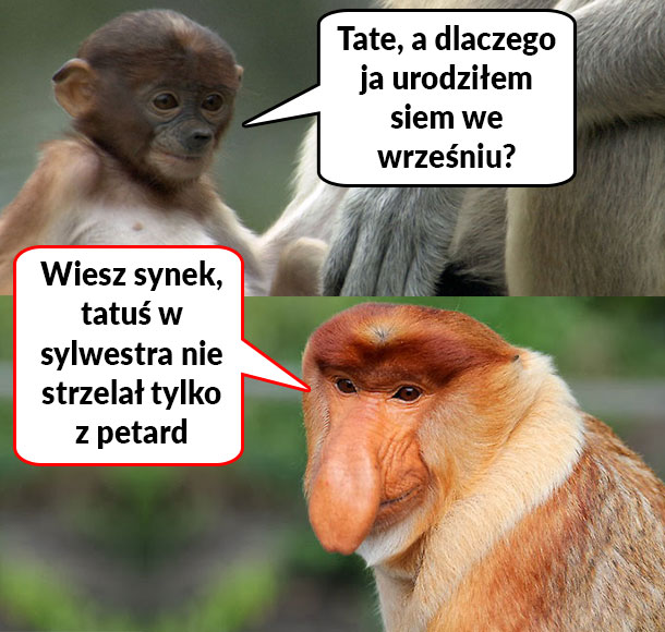 Dlaczego Pioter urodził się we Wrześniu