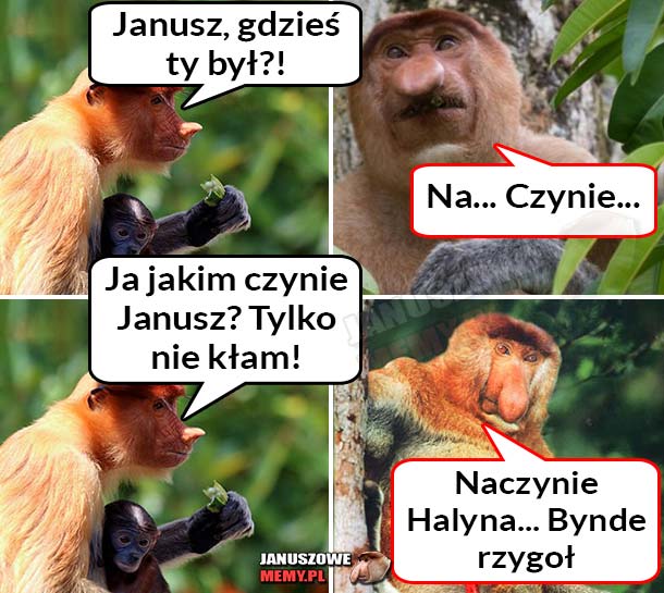 Janusz po sobocie :D