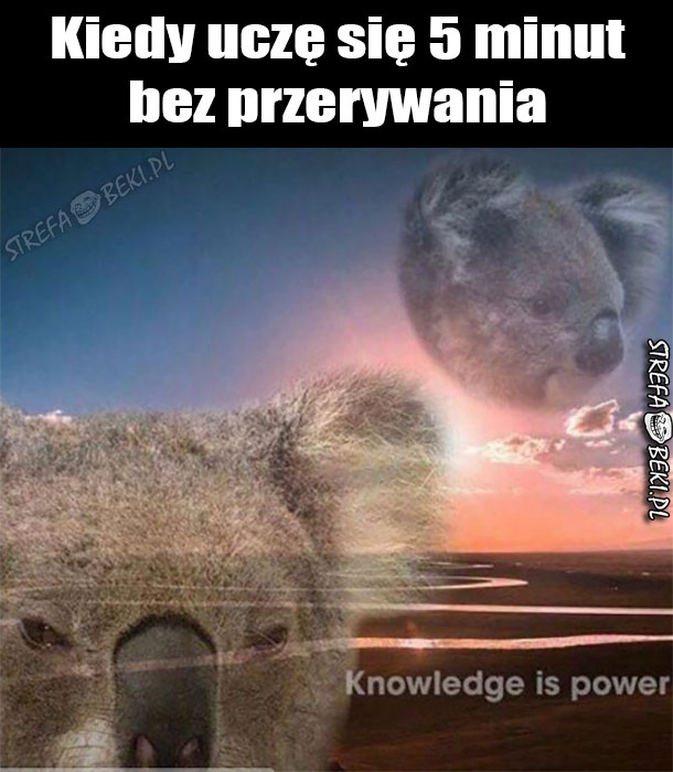 Ja przed sesją