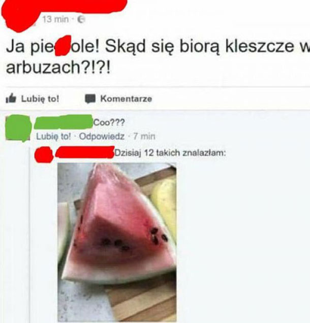 Skąd te kleszcze?!