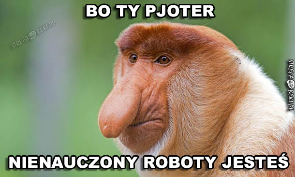 Bo Pjoter nienauczony roboty jest