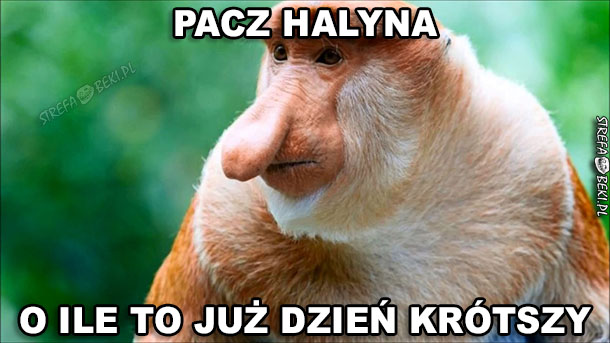 Dzień krótszy