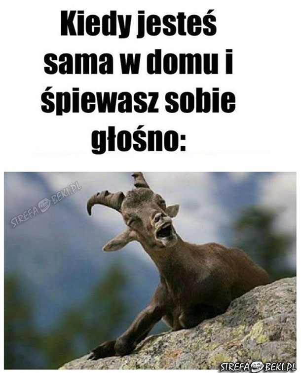 Śpiew 