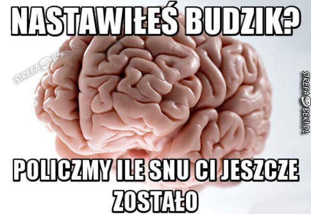 Mój mózg 