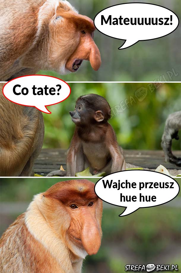 Mateuuuusz!