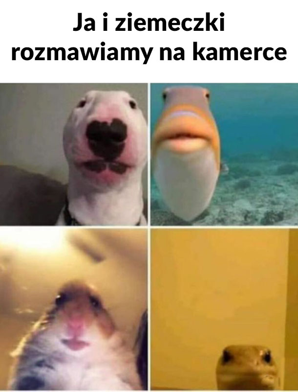 Ja z ziomeczkami 