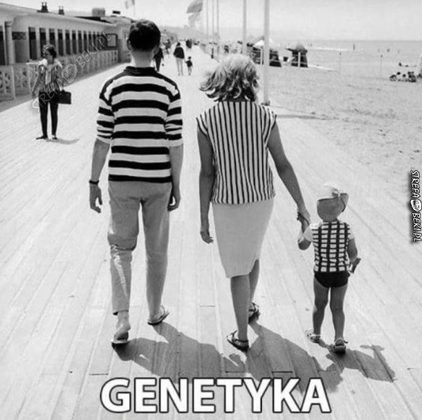 Genetyka