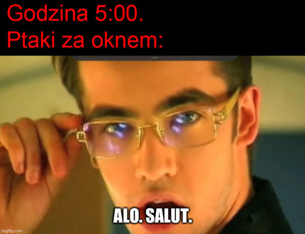 Alo :D