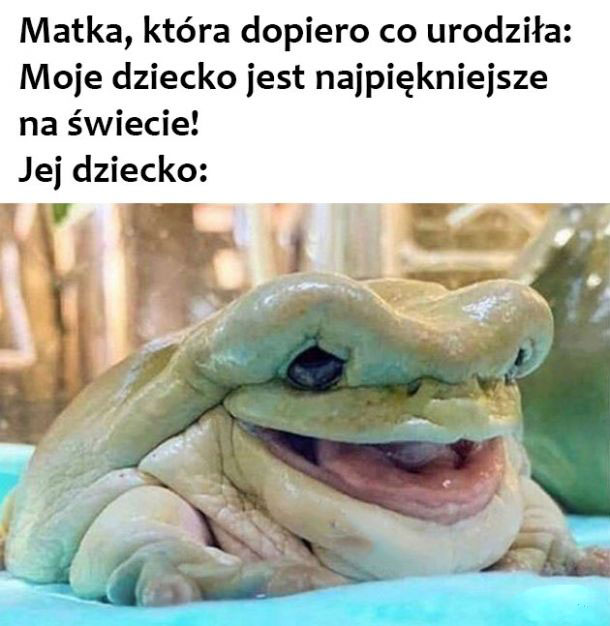 Śliczne 