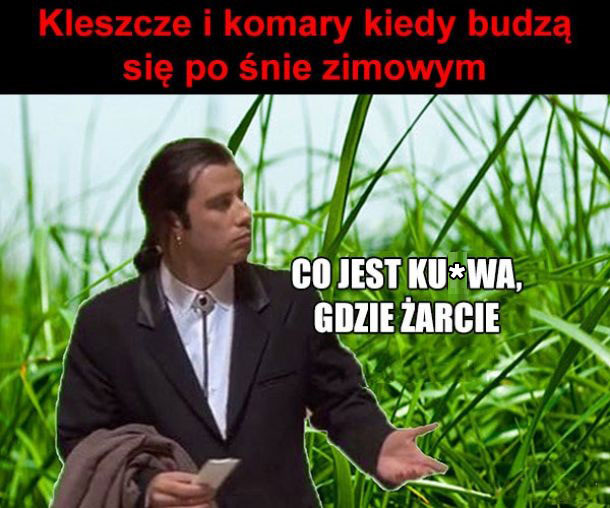 Co jest?!