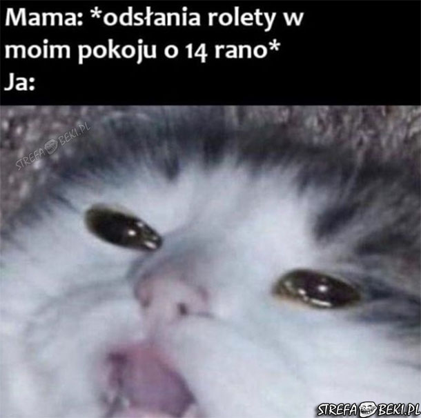 Ja codziennie