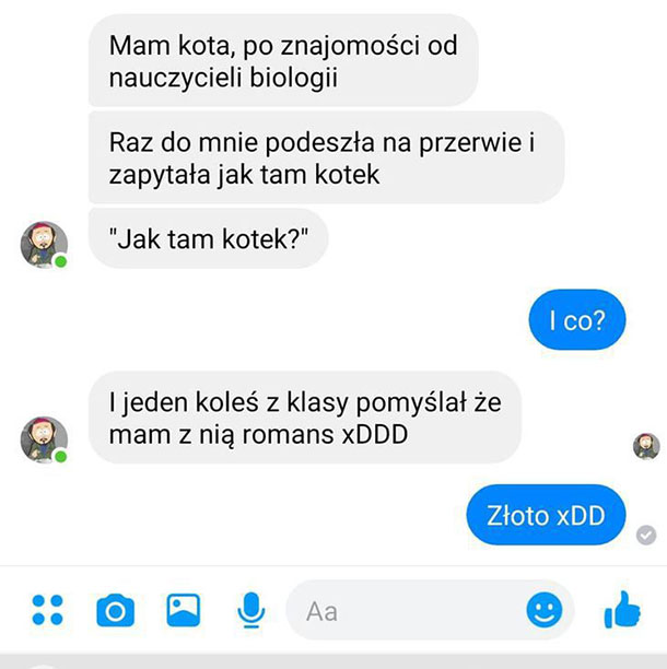 Jak tam kotek? 