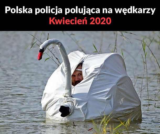 Polska policja 