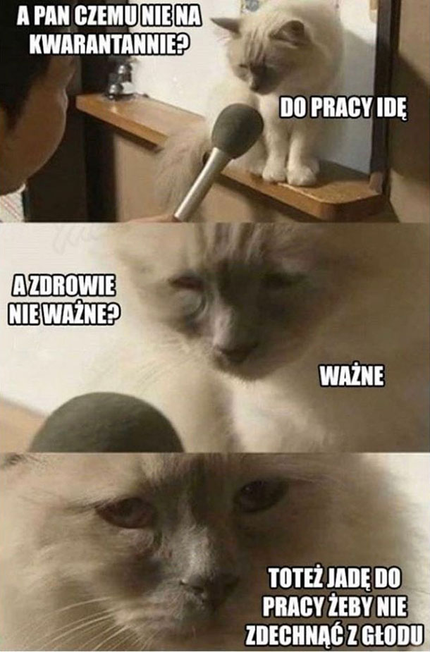 Zdrowie najważniejsze 