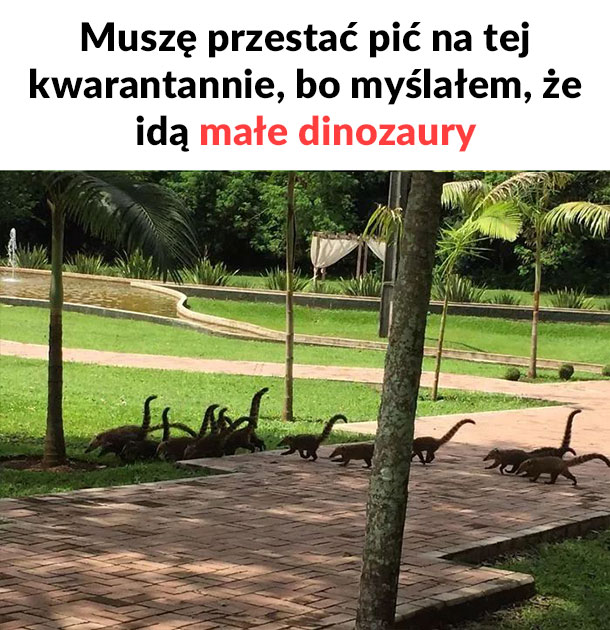 Małe dinozaury 