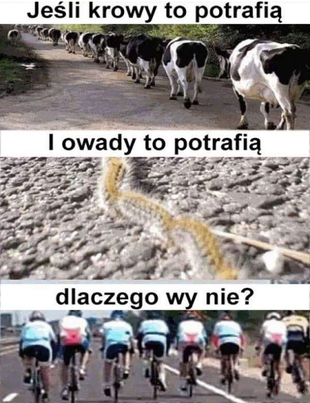 Dlaczego?