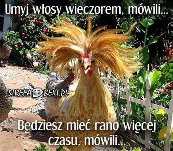 Zawsze 