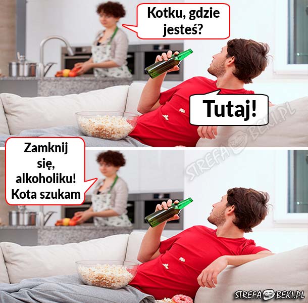 Kotek 