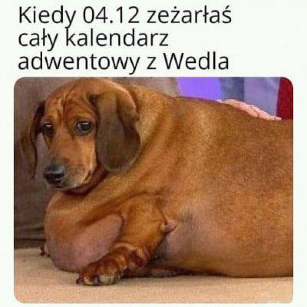 Zdarza się 