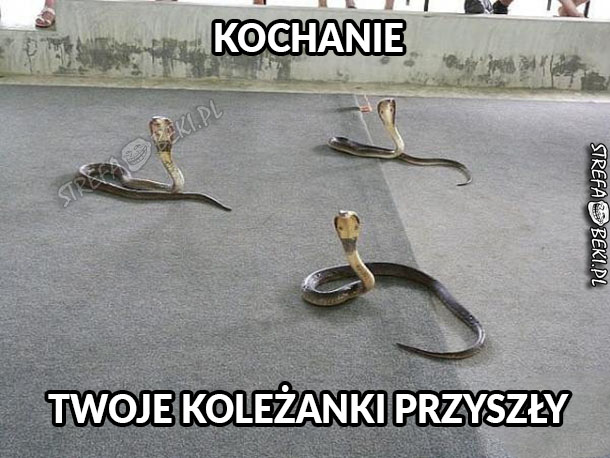 Koleżanki 