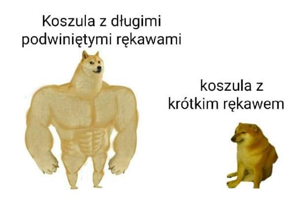 Koszule 