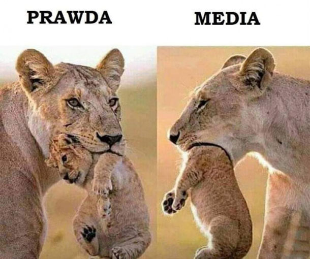 Prawda vs media 